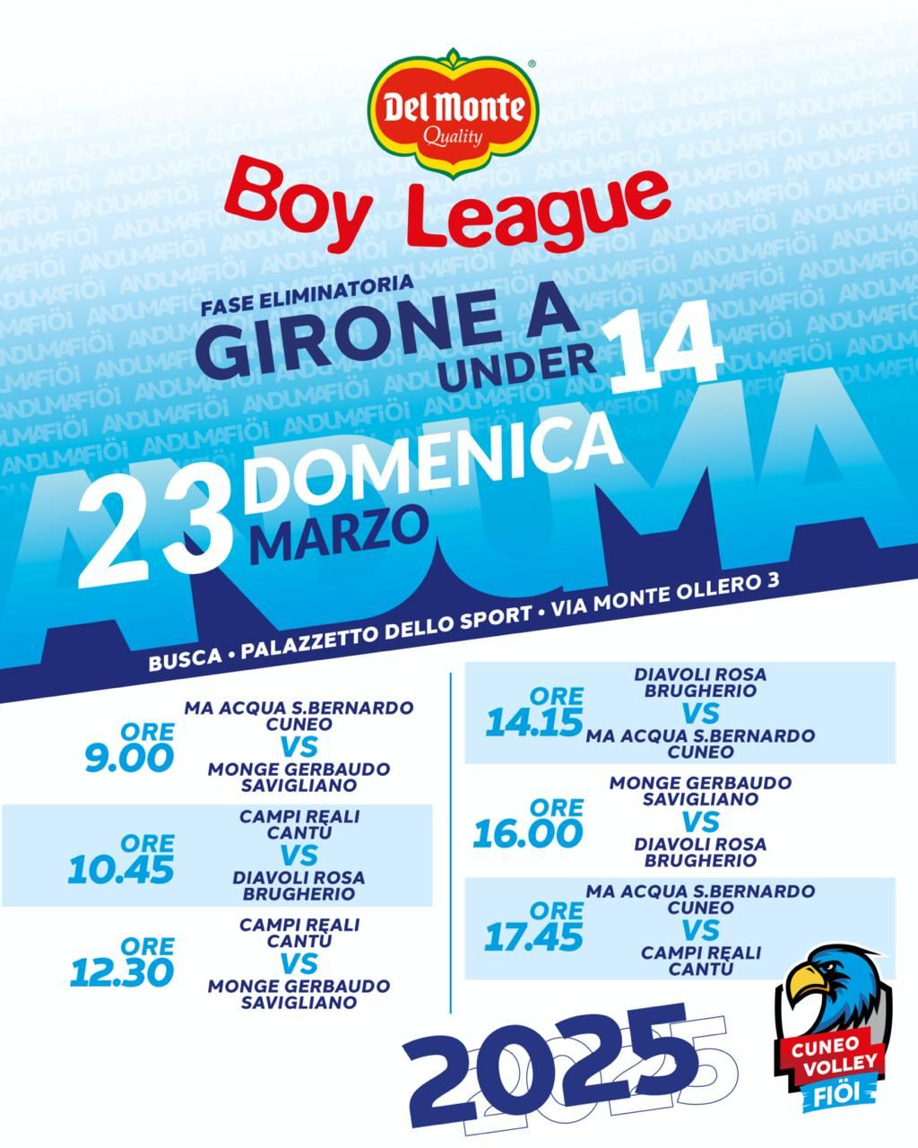 Locandina BoyLeague